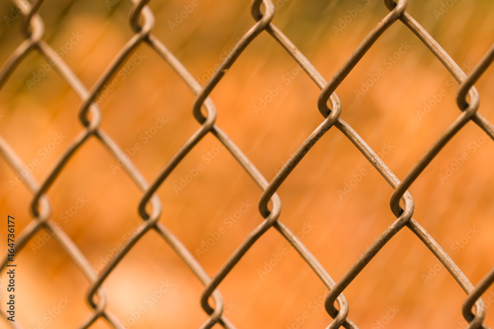 Steel mesh background is Orange. Steel mesh background is Orange.