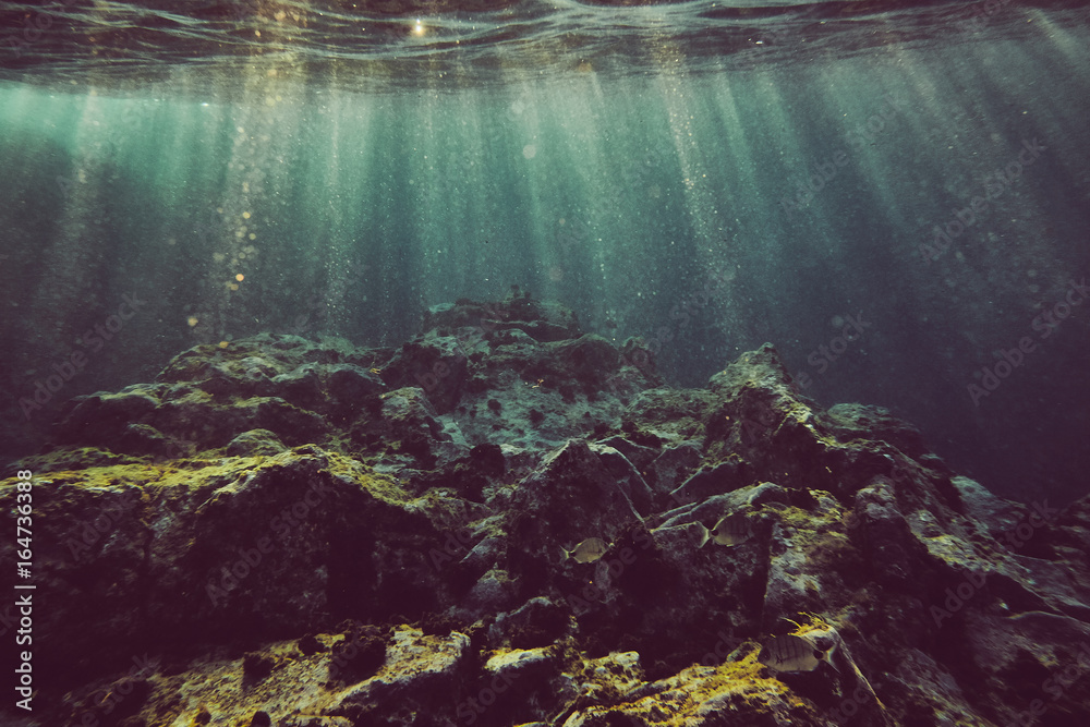 Under the sea StockFoto Adobe Stock