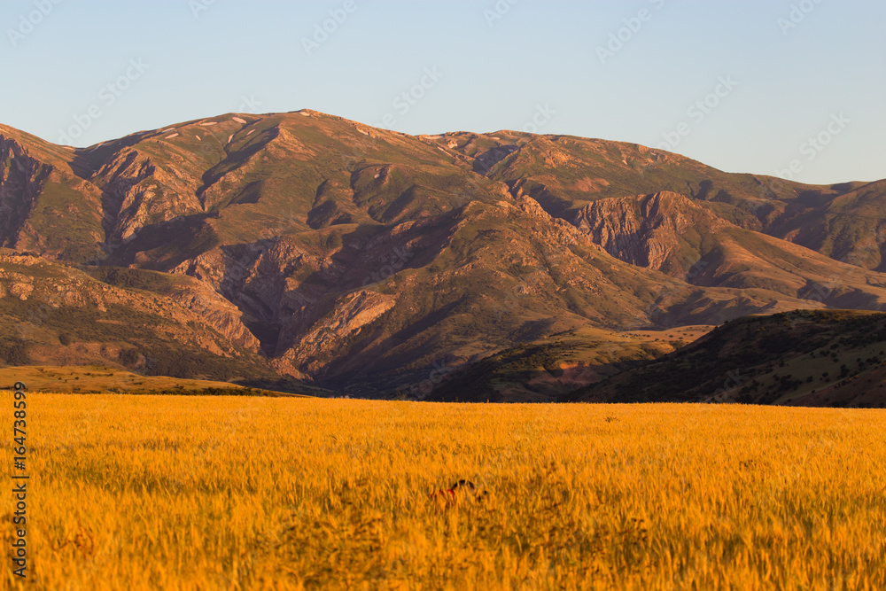 Beautiful mountains of the Tien Shan range in Kazakhstan