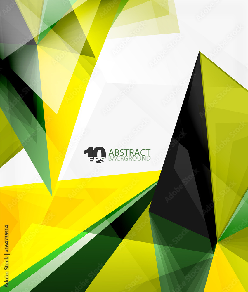 Fototapeta premium 3d triangle polygonal abstract vector