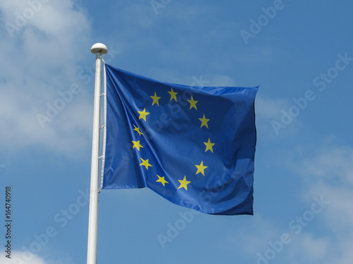 flag of the European Union (EU)