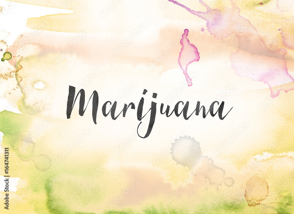 Obraz premium Marijuana Concept Watercolor and Ink Painting
