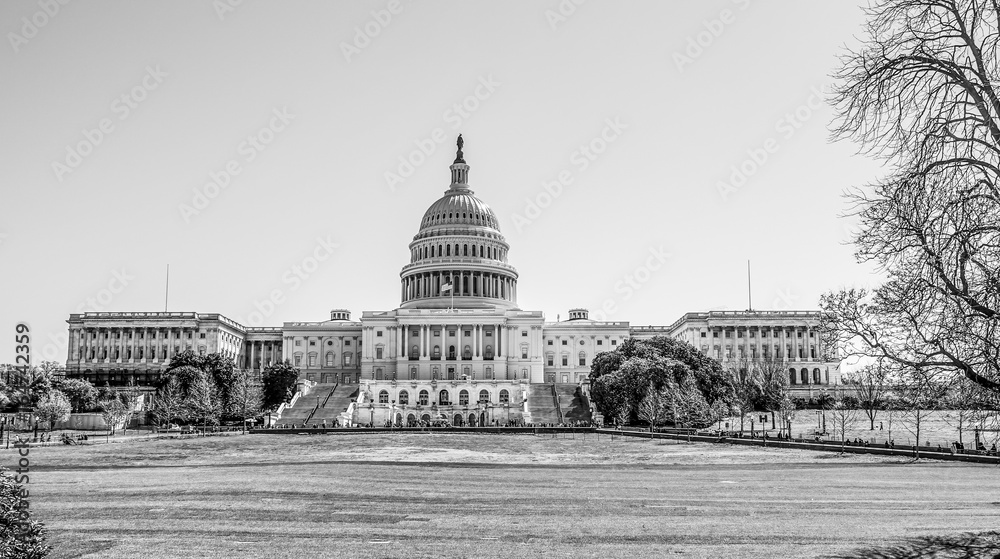 Fototapeta premium The Capitol in Washington