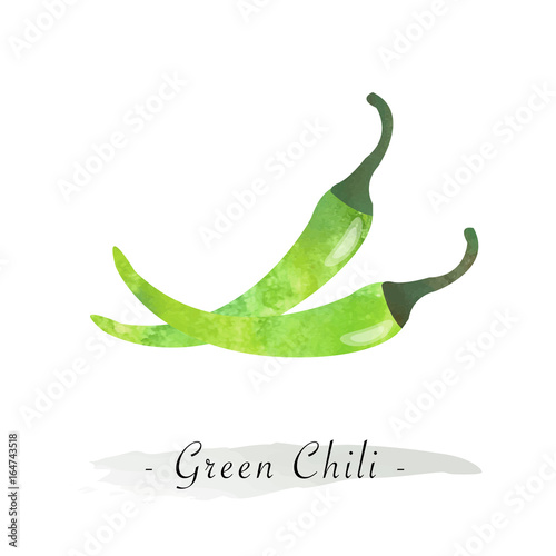 Colorful watercolor texture vector healthy vegetable green chili