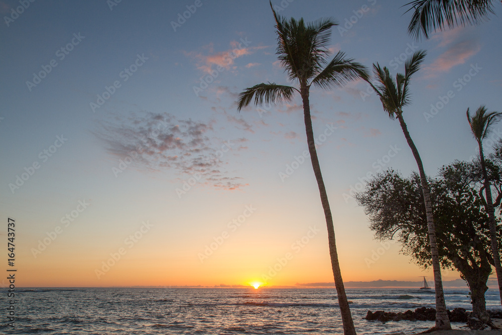 Hawaiian sunset with several silhouetted palm trees in right foreground ocean in mid ground and orange, yellow and pink hued sunset in background sailboat on horizon to the right