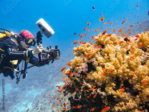 Bild auf Leinwand Photographing under water