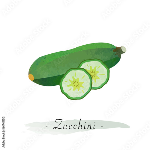 Colorful watercolor texture vector healthy vegetable zucchini