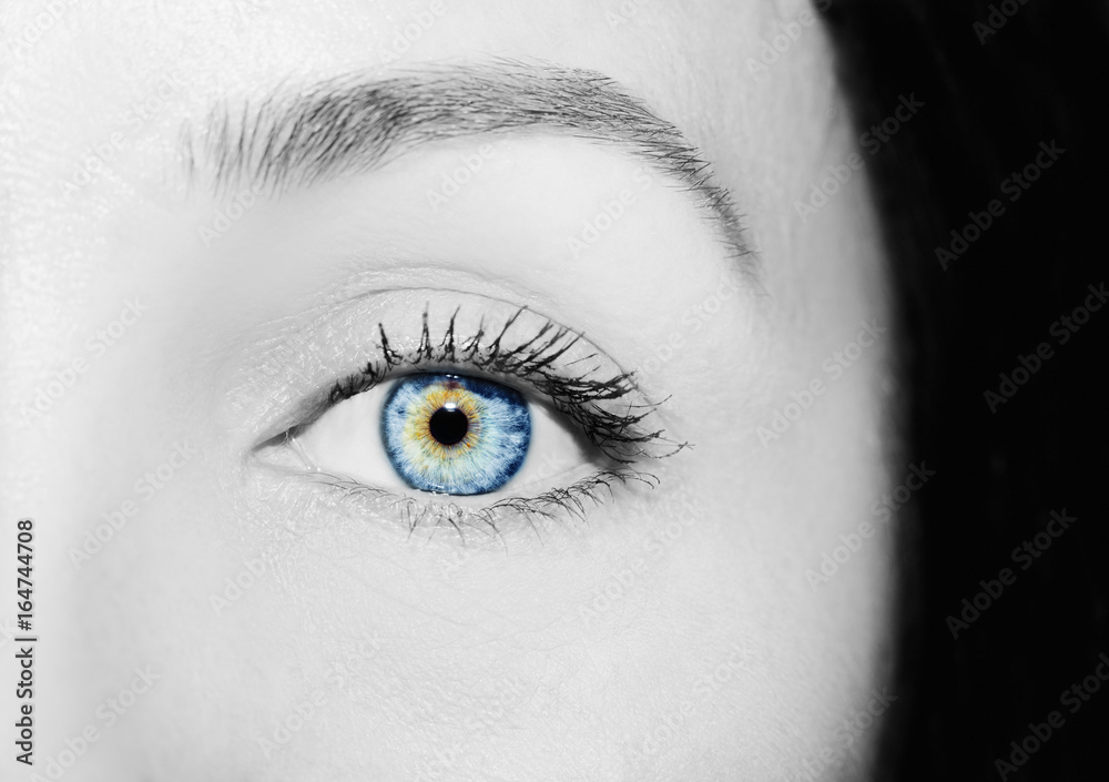 A beautiful insightful look woman's eye. Close up shot A beautiful insightful look woman's eye. Close up shot