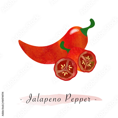 Colorful watercolor texture vector healthy vegetable red jalapeno pepper