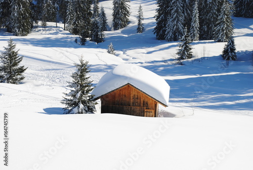 Snow in Haute-Savoie, Alpes, France.