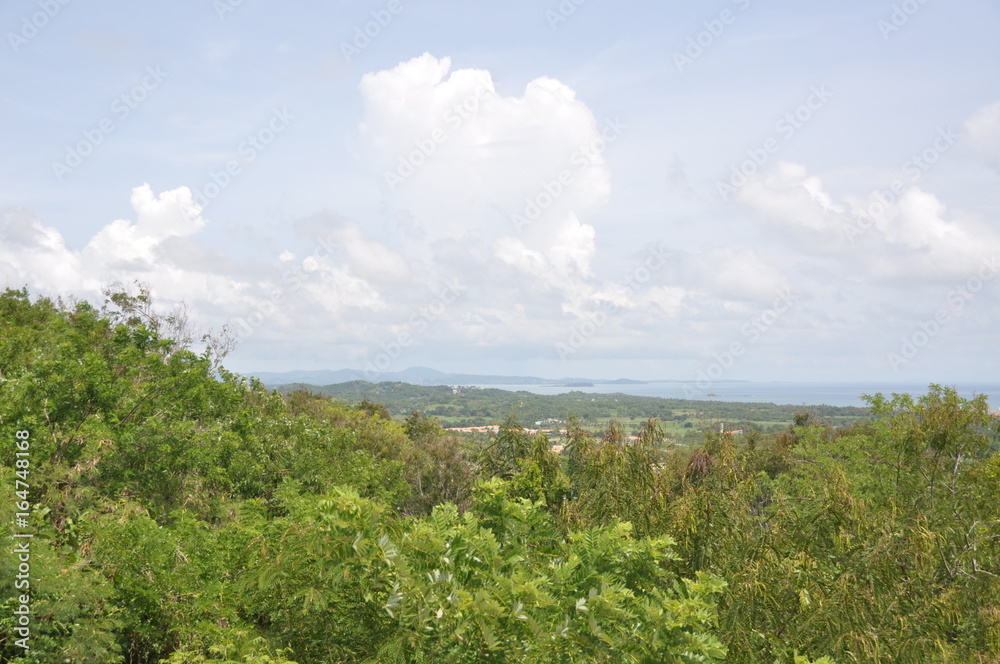 Obraz premium Puerto Rico Mountains