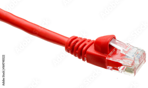 Red Ethernet RJ45 Network Cable photo