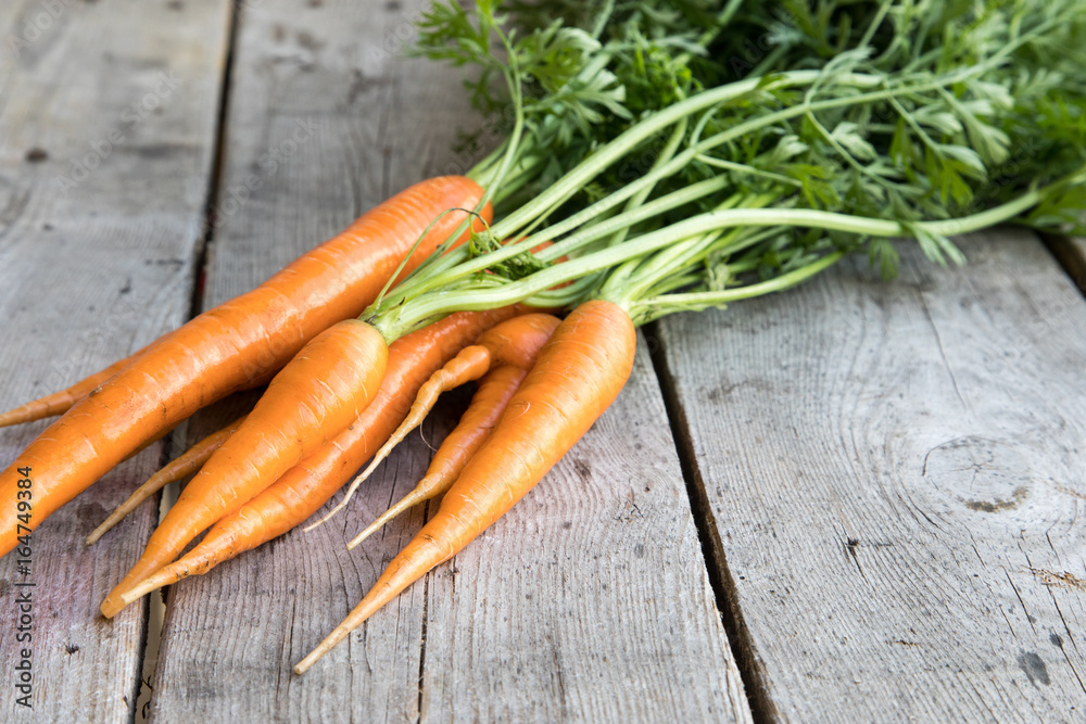 fresh carrots bunch on wood. Bunch of fresh carrots with green leaves. Raw food ingredients fresh carrots bunch on wood. Bunch of fresh carrots with green leaves. Raw food ingredients