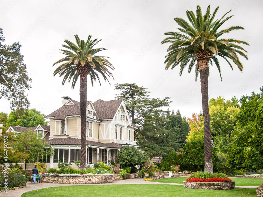 Fototapeta premium Sutter Home Winery
