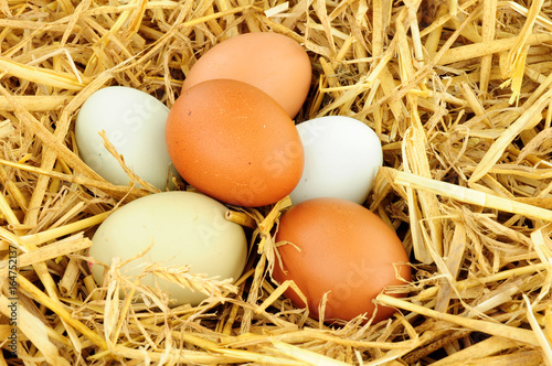 Valokuva Free range hens eggs on straw background