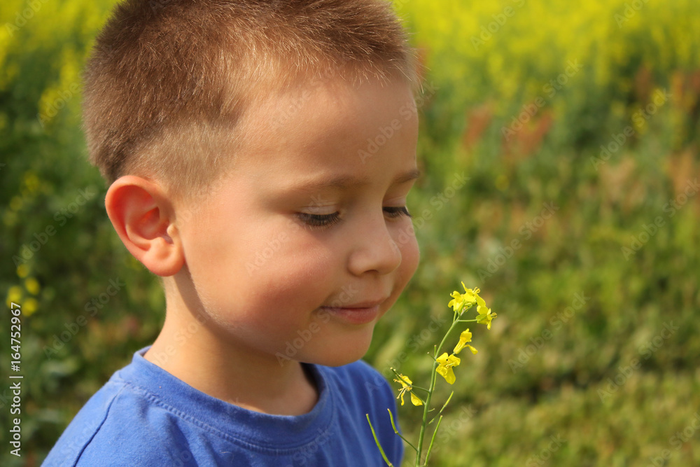 Smiling boy with canola flower Smiling boy with canola flower