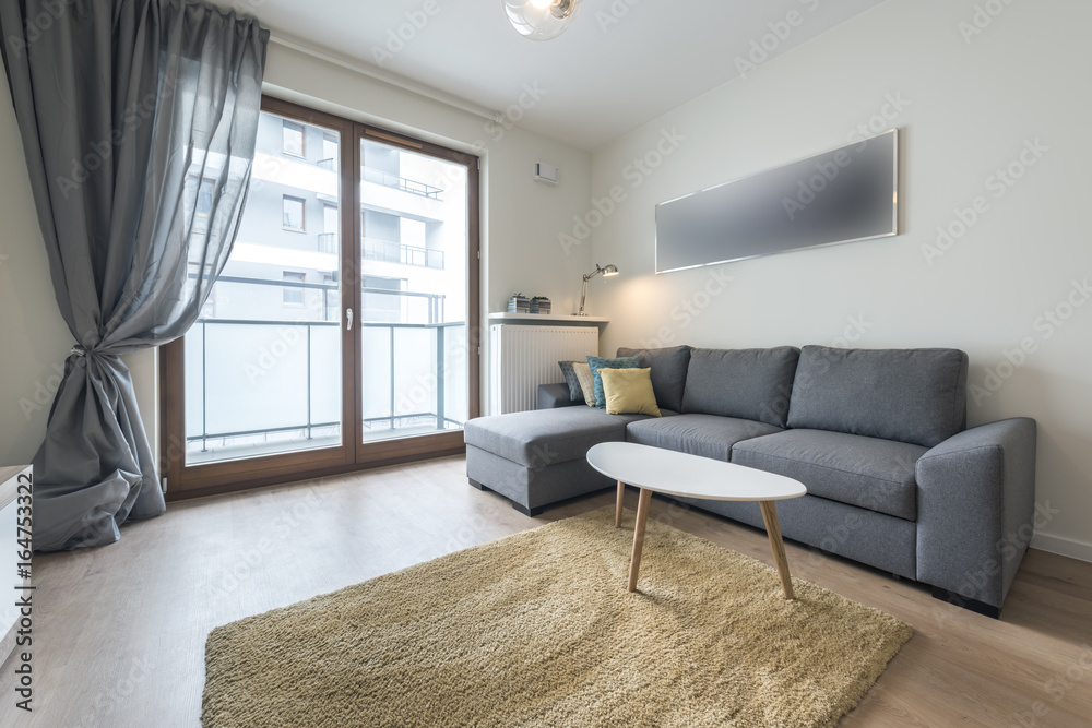 Fototapeta premium Modern, stylish living room
