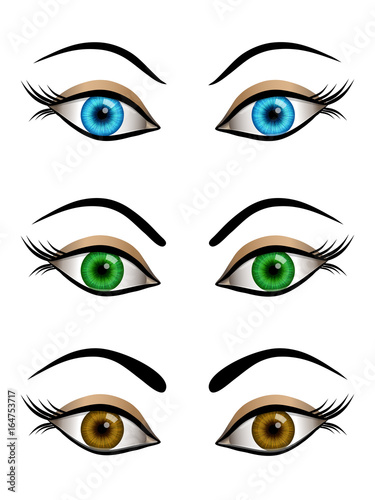Set of cartoon female eyes blue  brown and green colors