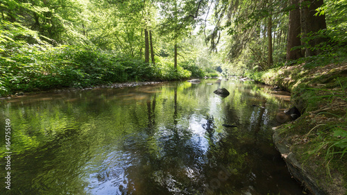 clear water stream