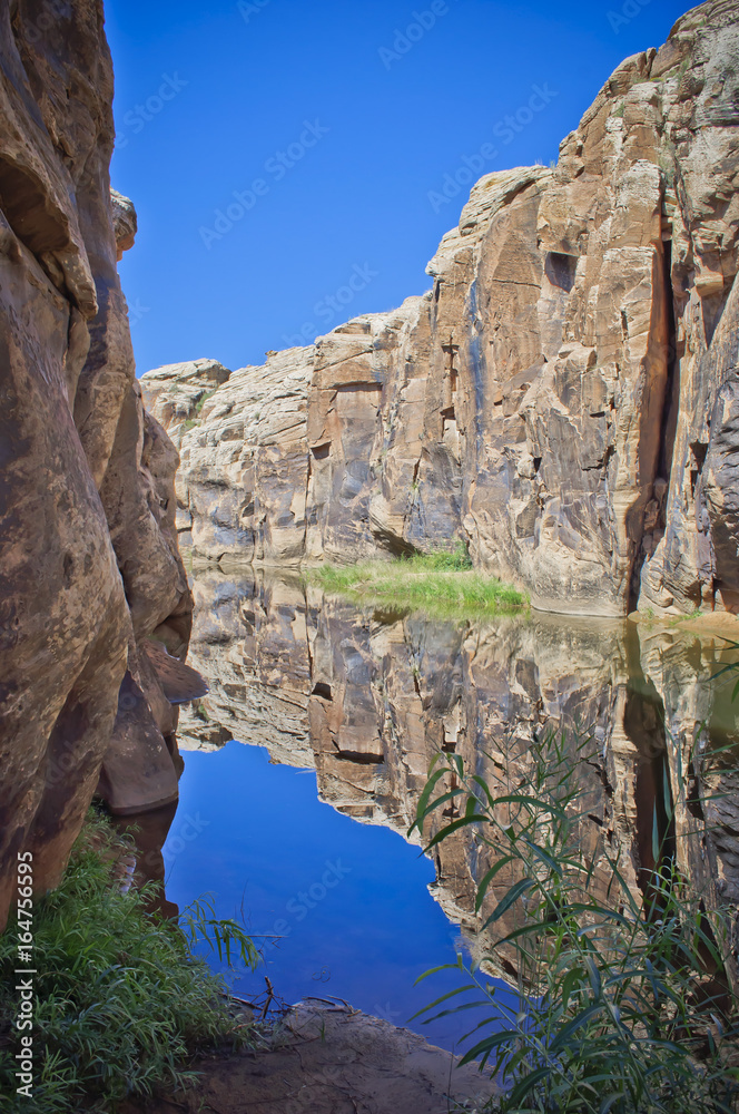 Hidden Water Hole in Desert