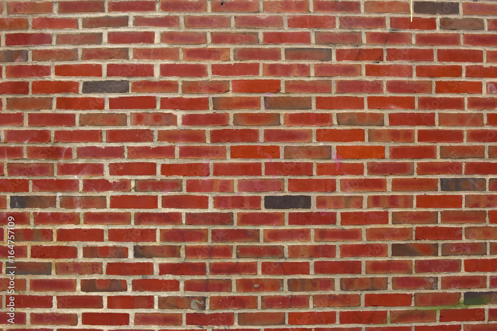 Fototapeta premium Wide Brick Wall