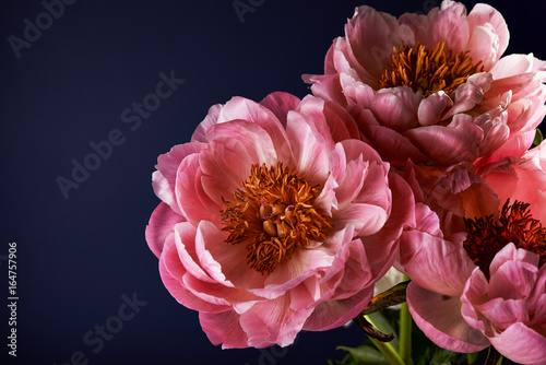 Fototapeta Naklejka Na Ścianę i Meble -  pink flowers