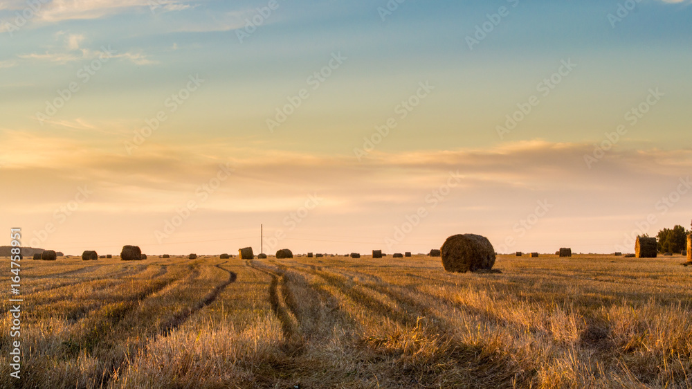 Hay bales in the countryside Hay bales in the countryside