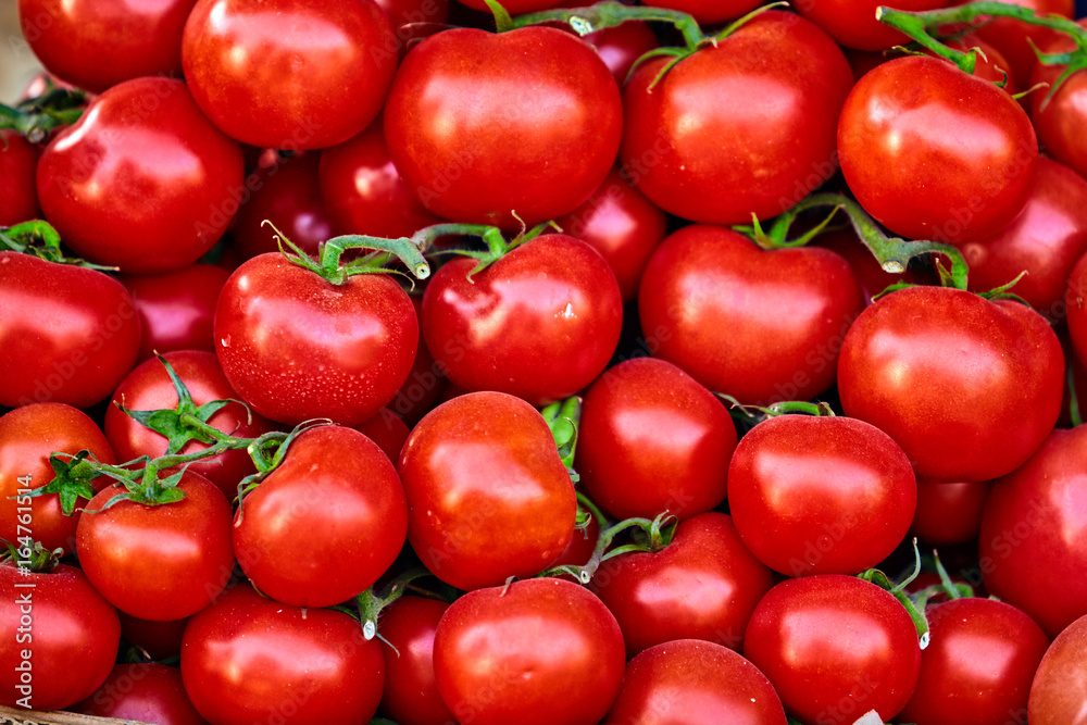 red tomatoes background. Group of tomatoes