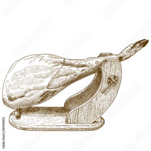 engraving illustration of jamon
