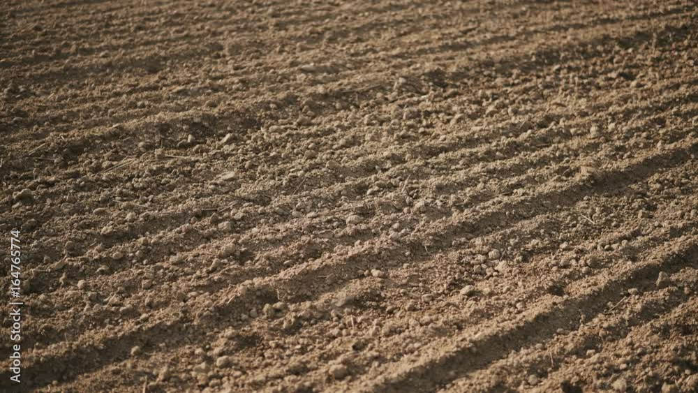 Camera slide over empty plowed field with dark soil at beginning of spring Camera slide over empty plowed field with dark soil at beginning of spring
