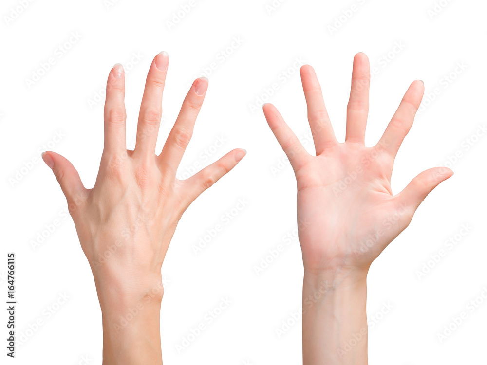Beautiful woman hand showing the five fingers. Front and back side view. Clipping path included Beautiful woman hand showing the five fingers. Front and back side view. Clipping path included