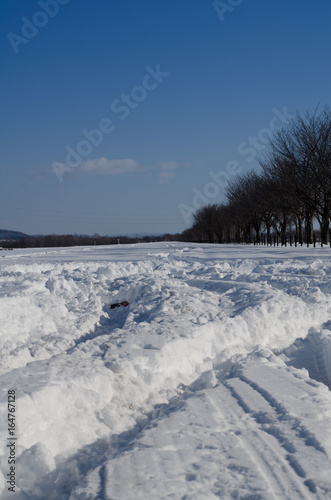 Fototapeta Naklejka Na Ścianę i Meble -  冬の風景