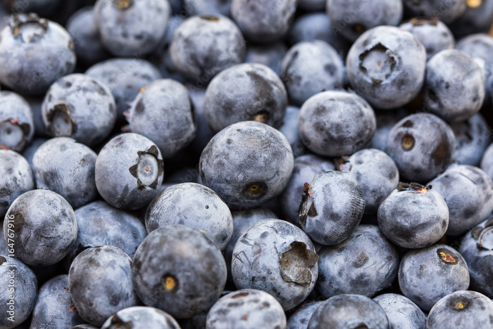 Natural berries background - close-up photo of fresh natural organic blueberries Natural berries background - close-up photo of fresh natural organic blueberries