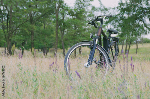A bicycle stands in a meadow, in a tall grass with flowers, in the background trees are seen