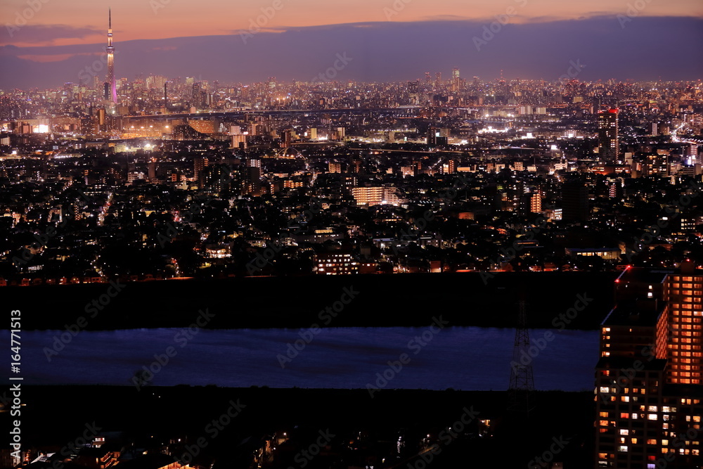 Obraz premium Tokyo night view