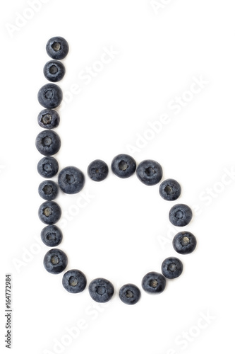 Blueberry berries on a white background