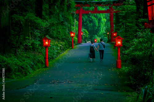 Couple walking and holding their hands in night view of the approach to the Hakone shrine in a cedar forest. With many red lantern lighted up and a great red torii gate photo