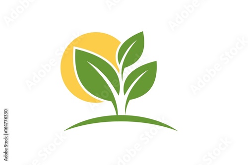  agriculture logo,tree and sun,seeds