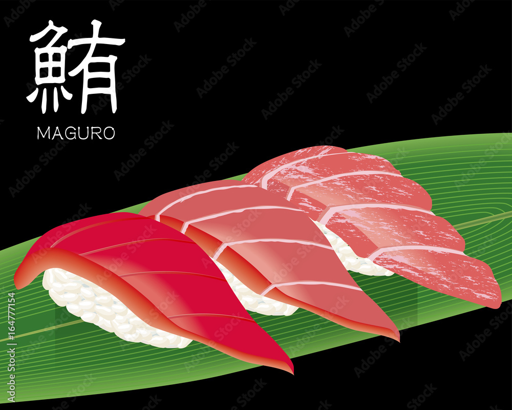 マグロ3種 赤身 中トロ 大トロ の寿司のリアルイラスト 握り寿司 Stock ベクター Adobe Stock