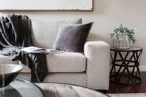 Inviting comfortable sofa with throw rug and magazine photo