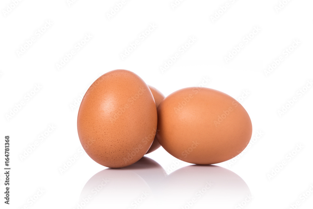 Fresh chicken egg shot in studio. Isolated on white Fresh chicken egg shot in studio. Isolated on white