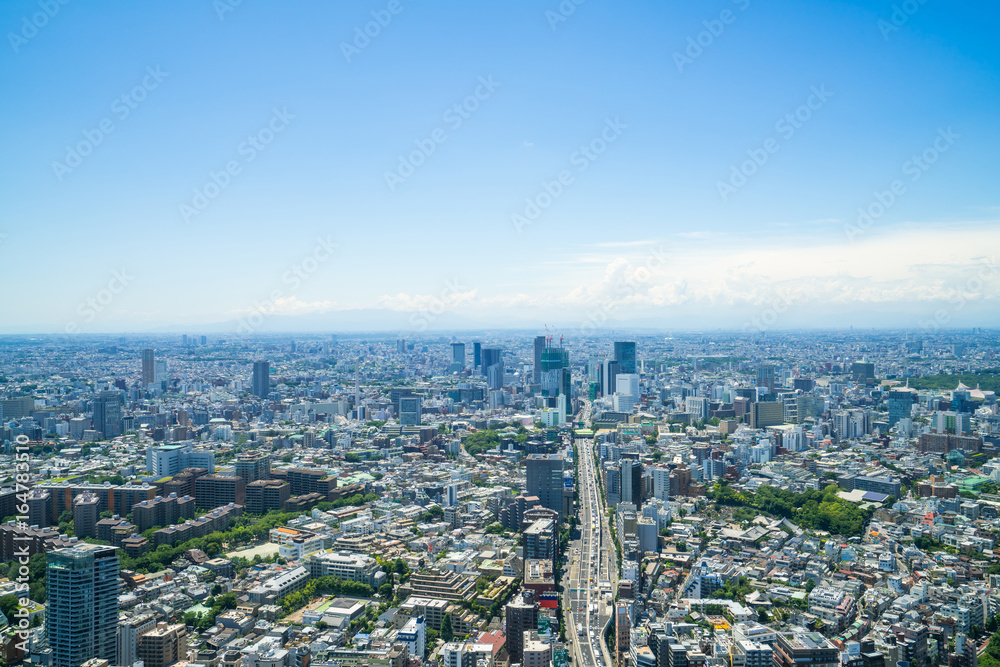 Obraz premium 東京風景