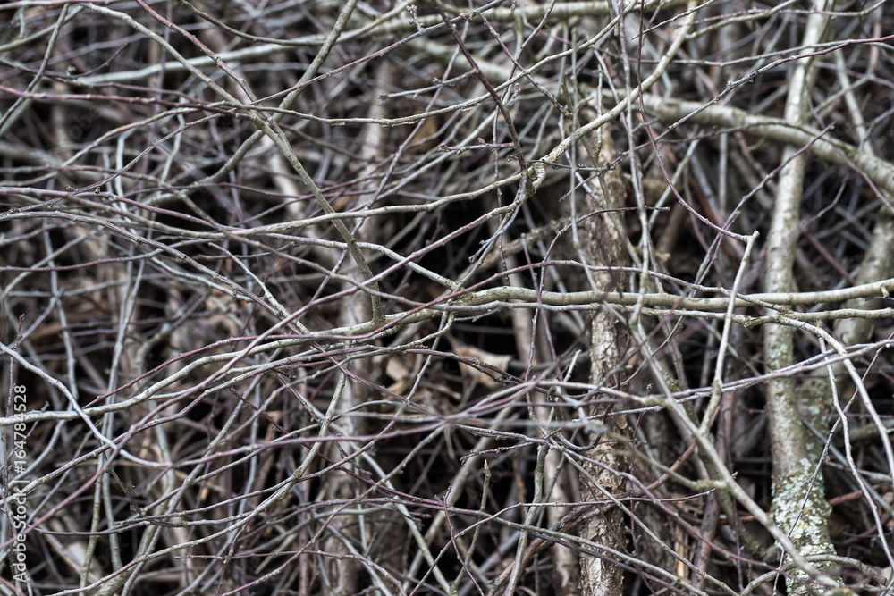 Closeup heap of dry wooden branches as natural background.