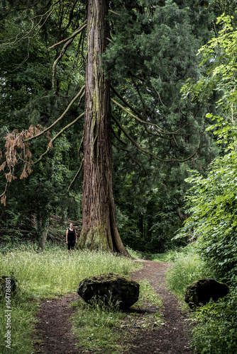 German National Park hiking girl on trail beside a huge old mammoth tree photo