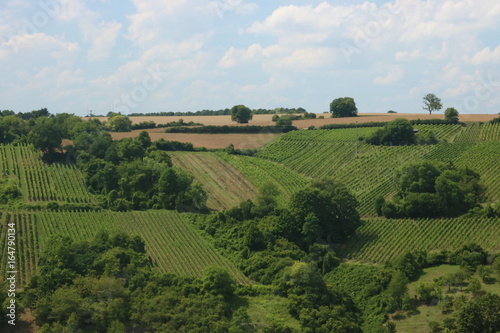 agriculture in Germany