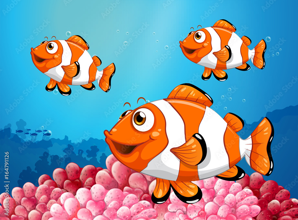 Fototapeta premium Three clownfish under the ocean