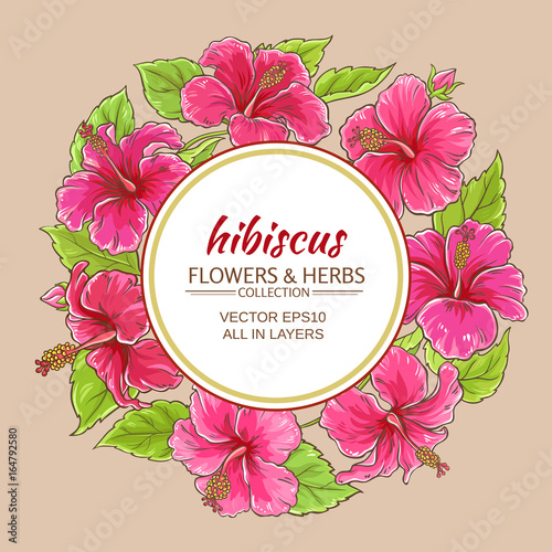 hibiscus vector frame