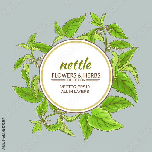nettle vector frame
