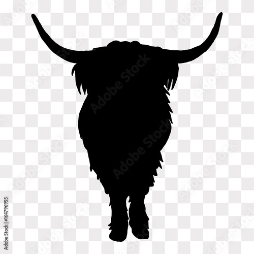 Highland Cow silhouette looking forward on a transparent background.