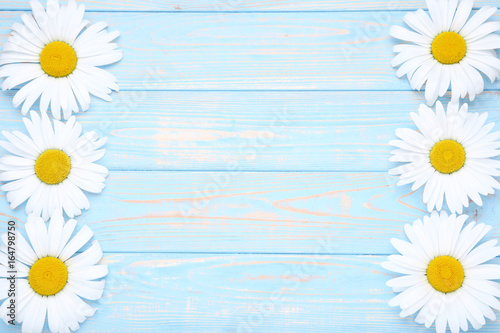 Fototapeta Naklejka Na Ścianę i Meble -  Chamomile flowers on blue wooden table